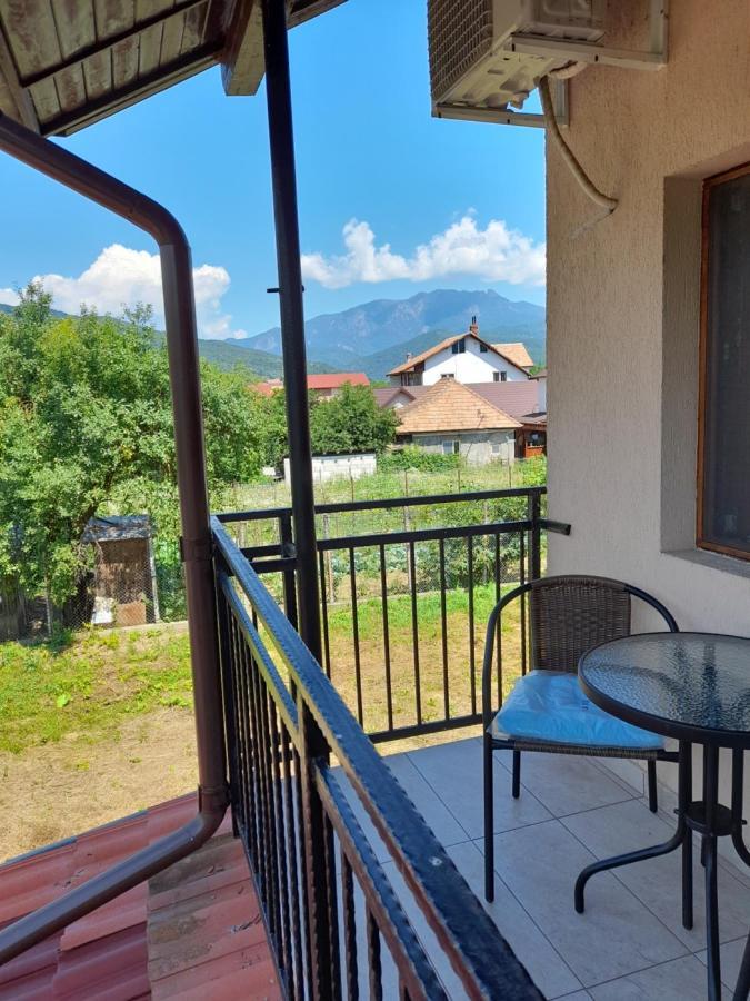 Casa Zoe Seaca Villa Călimăneşti Eksteriør billede