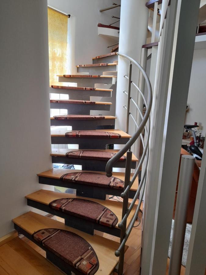 Casa Zoe Seaca Villa Călimăneşti Eksteriør billede